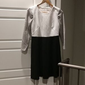 Ann Taylor Loft dress